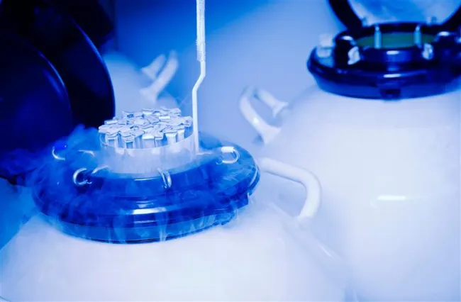 Deep Frozen Logistics Solutions service image